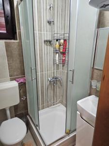 um chuveiro na casa de banho com um WC e um lavatório em Apartman Slapovi em Krupa na Vrbasu