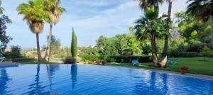 een zwembad in een tuin met palmbomen bij Comfy 2BR, 2Bathroom, Parking, Pool, Sea Views, Elviria Alta in Ojén