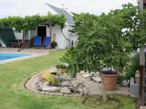 a tree in a garden next to a pool at Omega Suite in Gansbaai