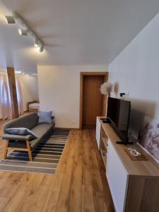 ein Wohnzimmer mit einem Sofa und einem Flachbild-TV in der Unterkunft KANTO - self check in in Klaipėda
