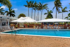 a swimming pool with umbrellas and chairs and trees at Skipjack Resort & Marina #404 in Marathon