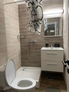 a bathroom with a toilet and a sink at Garsoniera la Mare in Saturn