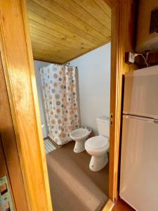 een badkamer met een toilet en een douchegordijn bij El Remanso Gouin in Carmen de Areco
