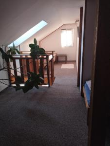 明尼謝克波羅德的住宿－Apartmány Audy，走廊上,在房间里放着盆栽植物