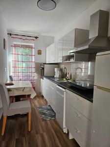 Kuchyň nebo kuchyňský kout v ubytování Apartments Ivan