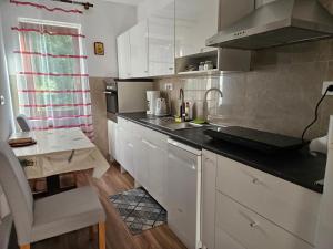Kuchyň nebo kuchyňský kout v ubytování Apartments Ivan
