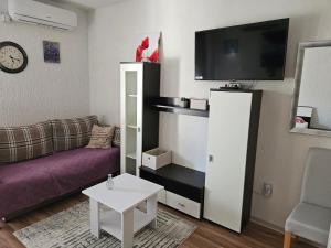 TV a/nebo společenská místnost v ubytování Apartments Ivan
