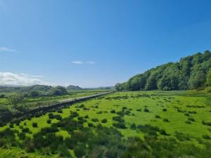 a field of green grass with trees in the background at Kings Reach - Crinan Cottage in Lochgilphead