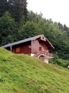 una casa in cima a una collina su un campo verde di L'appartement LES BOSSONS en lisière de forêt dans le chalet Génépi ad Arêches