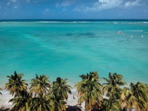 a view of a beach with palm trees and the ocean at Pousada Ponta de Mangue in Maragogi