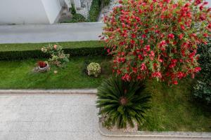 Zahrada ubytování Apartmani Marica Beg