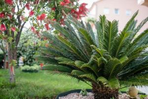 Zahrada ubytování Apartmani Marica Beg