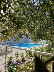 a swimming pool surrounded by trees and flowers at Holiday House M&A&K with swimming pool in Kastel Stafilic