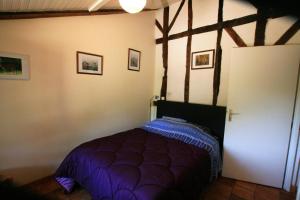 ein Schlafzimmer mit einem lila Bett in einem Zimmer in der Unterkunft Grand rimbez in Poyanne