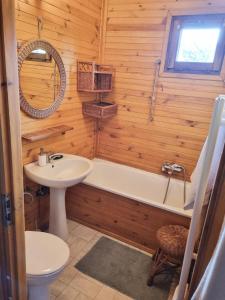a bathroom with a sink and a tub and a toilet at Dom na Mazurach - Willa pod Jaworem in Olsztynek