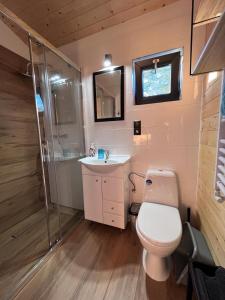 a bathroom with a toilet and a shower and a sink at Wiatr i Woda Wdzydze in Wdzydze Kiszewskie