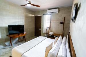 TV a/nebo společenská místnost v ubytování Hotel Siesta Holbox