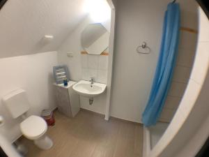 a small bathroom with a toilet and a sink at Gutshausferien im Ostseehinterland 