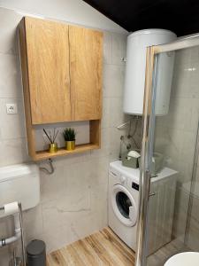 La salle de bains est pourvue d'un lave-linge et d'un lave-linge. dans l'établissement Mira's Apartment, à Križevci
