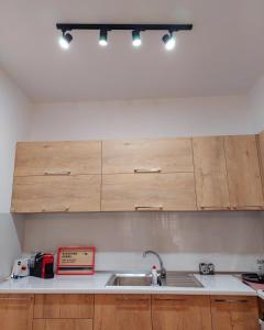 Kuchyň nebo kuchyňský kout v ubytování Gex apartments