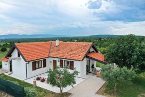 an aerial view of a house with an orange roof at Villa Ena with Pool & Jacuzzi in Donji Kašić