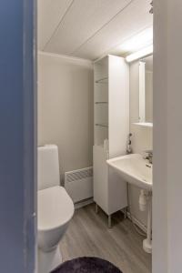 bagno bianco con servizi igienici e lavandino di Kuukkeli Ivalo Arctic House a Ivalo