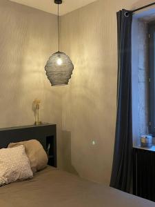 ein Schlafzimmer mit einem Bett und einer Hängeleuchte in der Unterkunft Appartement plein de charme au cœur du Vieux-Lyon in Lyon