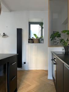 eine Küche mit einer Theke und einem Fenster mit Pflanzen in der Unterkunft Appartement plein de charme au cœur du Vieux-Lyon in Lyon
