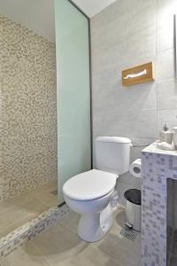 La salle de bains est pourvue d'une douche et de toilettes blanches. dans l'établissement To Patriko Mas Guesthouse-1, à Palaios Panteleimonas