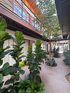 a courtyard with trees and plants in a building at Village aconchegante em Mucugê in Mucugê