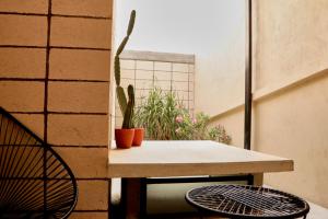 Fotografie z fotogalerie ubytování Casa Nomada Tuxtla Hotel - Hostal v destinaci Tuxtla Gutiérrez