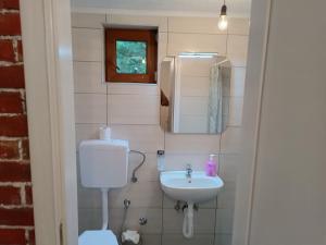 Ένα μπάνιο στο Cottage Auto Camp Vinac +15 φωτογραφίες
