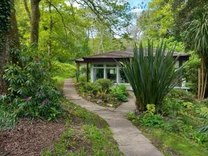 En have udenfor Blue Skies