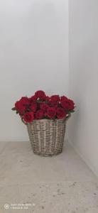 a basket of red roses in a white wall at Dimora di Paola in Martina Franca