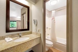 a bathroom with a sink and a toilet and a mirror at Red Roof Inn Asheville - Biltmore West in Asheville