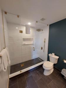 a bathroom with a shower and a toilet at Hochelaga Inn in Kingston