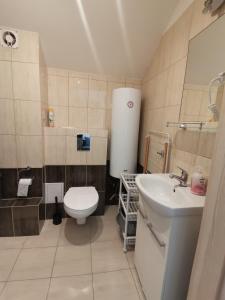 a small bathroom with a toilet and a sink at Apartamenty Turkusowe in Rowy +44 photos