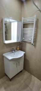 uma casa de banho com um lavatório branco e um espelho. em NANO'S APARTAMENt-2 em Kutaisi
