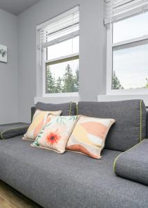 een grijze bank met kussens in de woonkamer bij Separate Suite in Prestigious Linley Valley in Nanaimo