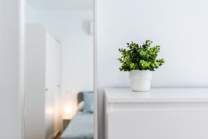 a plant in a white vase sitting on a table at Modern Plaza de Toros Apartment with Free Parking in Granada