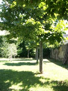 Jardín al aire libre en B&B Salvia e Rosmarino