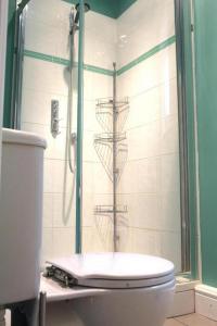 a bathroom with a shower with a toilet in it at Trendy 2BD flat in West Hampstead in London