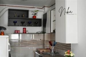 eine Küche mit einer Spüle und einem Kühlschrank aus Edelstahl in der Unterkunft Apartman Nika in Kragujevac