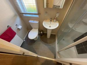 a small bathroom with a toilet and a sink at Silver Birch Lodge in Auchterarder +17 photos