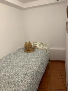 Katil atau katil-katil dalam bilik di El Alpendre De la Vega