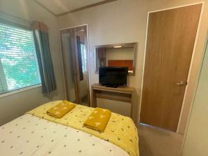 TV a/nebo společenská místnost v ubytování Silver Birch Lodge