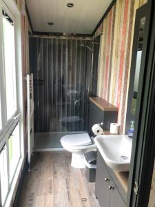 a bathroom with a toilet and a shower and a sink at Unique Tribeca with great views in Bembridge +21 photos