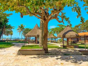 a park with a tree and straw umbrellas at Hotel Nacional Inn Ubatuba - Praia das Toninhas in Ubatuba
