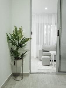 a living room with a potted plant in front of a door at Dionis House in Shkodër