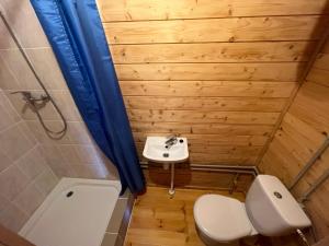 Baño pequeño con aseo y lavamanos en Vītolu nams - atpūta ar saunu un makšķerēšanu en Durbe